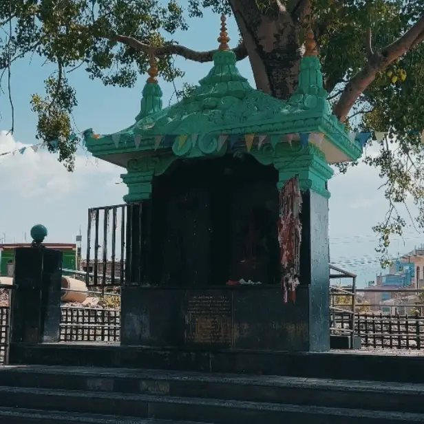 A green-roofed shrine beneath a large tree